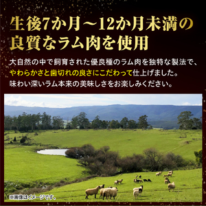 【12か月定期便】生ラム肩ロース 約1350g(450g×3パック)×12回 計16.2kg（羊肉 ラム肉 ラム 羊 ソウルフード ご当地グルメ ご当地 特製 おかず 惣菜 冷凍 冷凍便 クール クー