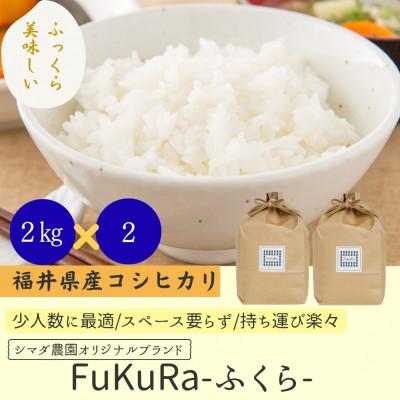 ふるさと納税 小浜市 農家直送　福井県産こしひかり FukuRa(ふくら)　精米 2kg×2袋 【計4kg】　美味しいお米