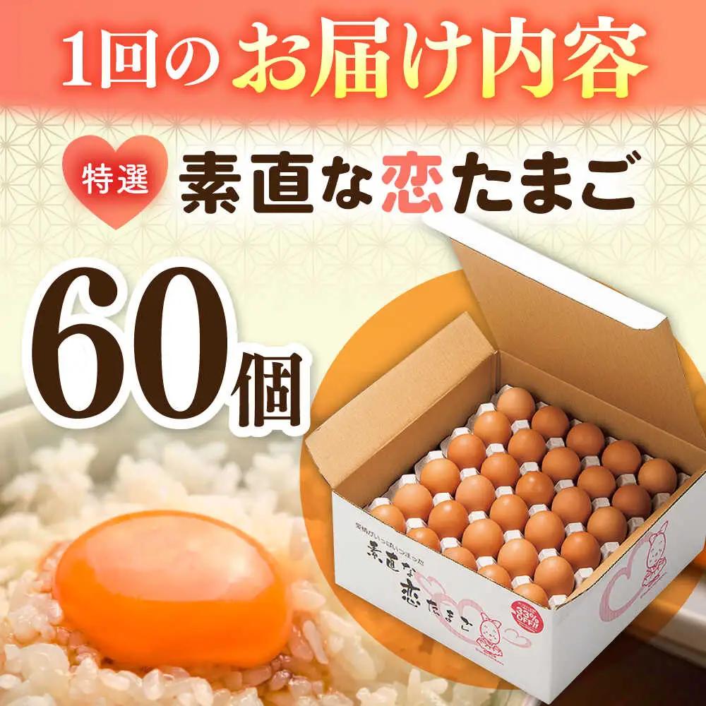 【全12回定期便】【特選卵】素直な恋たまご 60個 [JAP005]