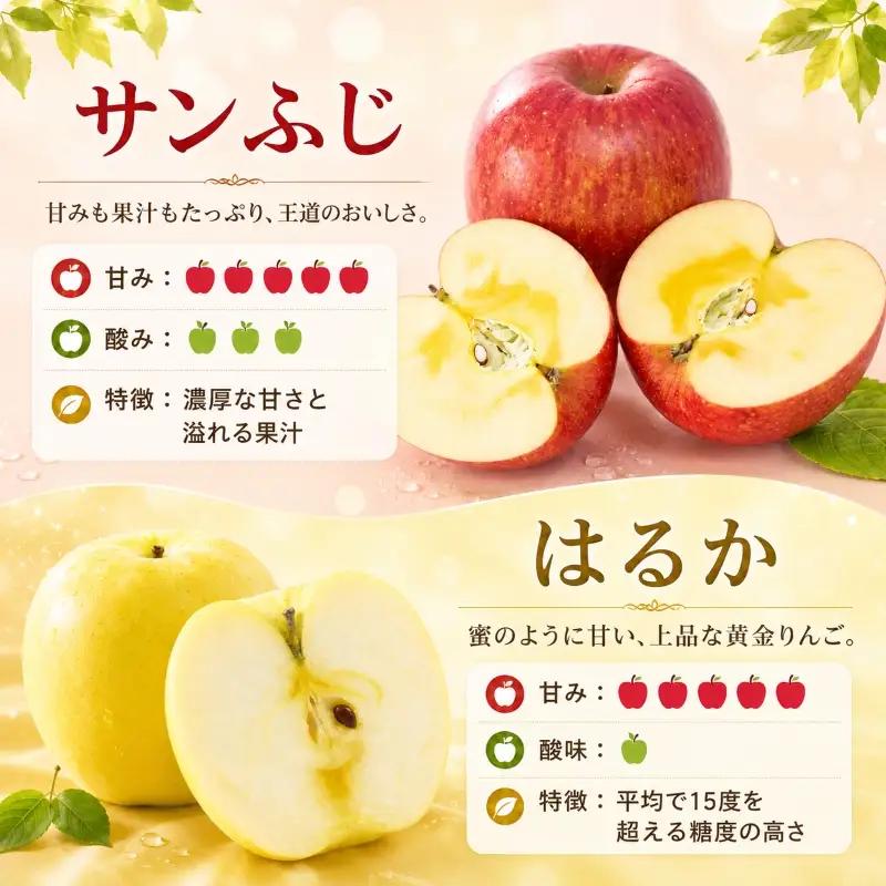 先行予約 年内発送 訳あり りんご 3kg品種2種以上詰め合わせ りんご 期間限定 藤与果樹園fujiyo004f