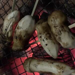 岩泉産・松茸コロ　150g_野菜 松茸 きのこ まつたけ マツタケ_【配送不可地域：離島】【1423455】