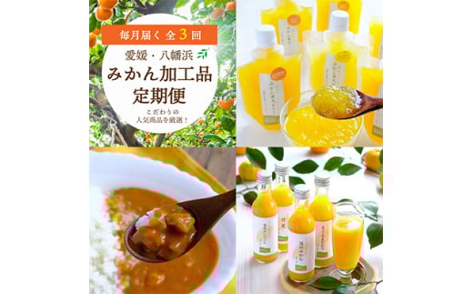 ＜毎月定期便＞おいしい愛媛みかんを使用!こだわりのみかん加工品定期便全3回＜G25-153＞_ 定期便 ミカン ジュース みかん ゼリー カレー フルーツ 果物 柑橘 くだもの 産地直送 産直 愛媛 食べ比べ 国産 詰合せ 【4012887】