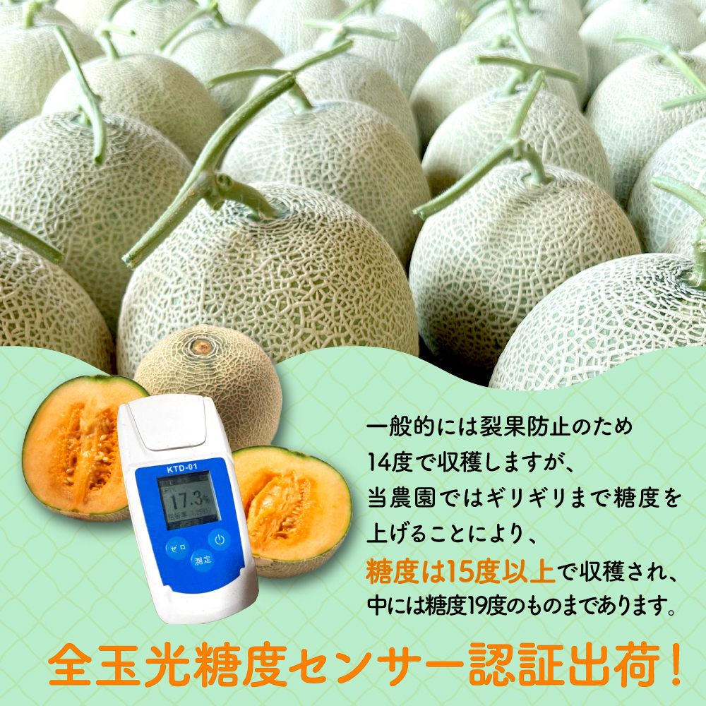 太田農園メロン“GIFT”赤肉メロン＆青肉メロンセット（各2玉ずつ） 2025年 先行予約 メロン セット 糖度 赤肉 青肉  高級 果物 フルーツ おやつ デザート 新潟 夏フルーツ 