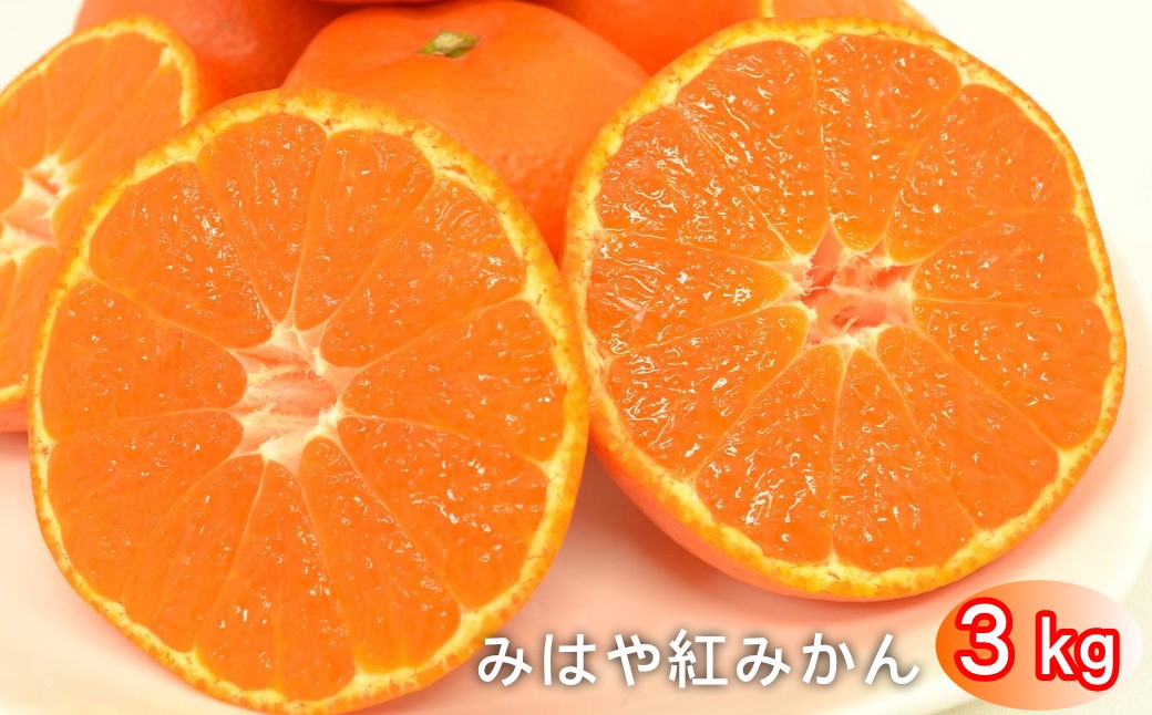 
                  太良町 山本農園の「みはや紅みかん」 3kg
                