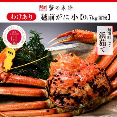 【わけあり】冬の日本海の味　浜茹で【越前がに　小　0.7kg前後】11月～翌3月順次発送【配送不可地域：離島・北海道・沖縄】【1590552】