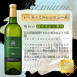 希少ぶどう品種　岩の原ワイン　レッド・ミルレンニューム辛口