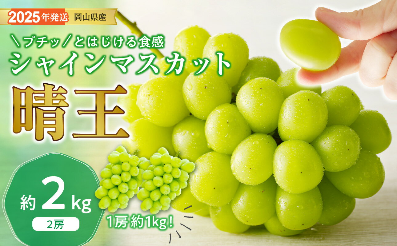 【ふるさと納税】シャインマスカット 晴王 秀品 特大 約2kg 2房 岡山県産 ぶどう ギフト 御礼 プレゼント 御礼 御祝 御供 果物 くだもの フルーツ　GG-9