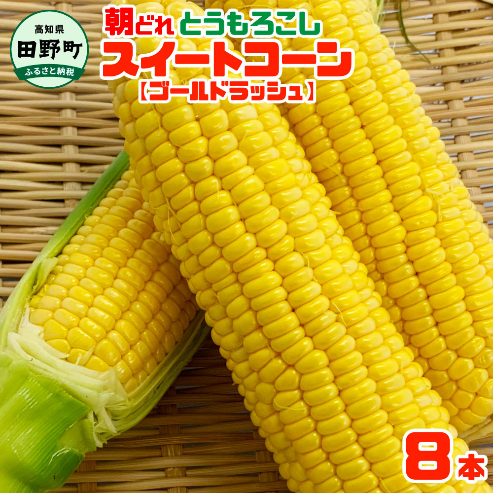
            【四国一小さなまちのとうもろこし】★2025年6月上旬頃より発送開始予定★ とうもろこし スイートコーン ゴールドラッシュ 8本 数量限定 朝どれ 新鮮 甘い 野菜 産地直送 冷蔵 配送
          