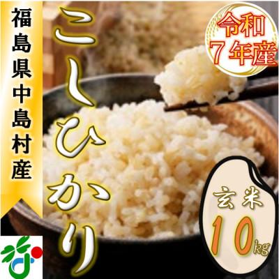 ふるさと納税 中島村 【数量限定/令和7年産】中島村産『コシヒカリ』(玄米)10kg