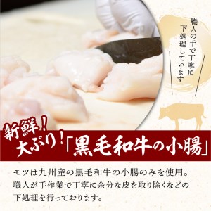 【黒毛和牛専門　もつ鍋こうづき】もつ鍋セット赤辛味噌味2～3人前_KO0705