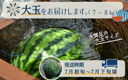 大和スイカ「祭りばやし」【2026年7月初旬～7月下旬ごろ発送予定】 ／ ヒロちゃんファーム 西瓜 スイカ すいか 果物 フルーツ デザート  奈良県 田原本町