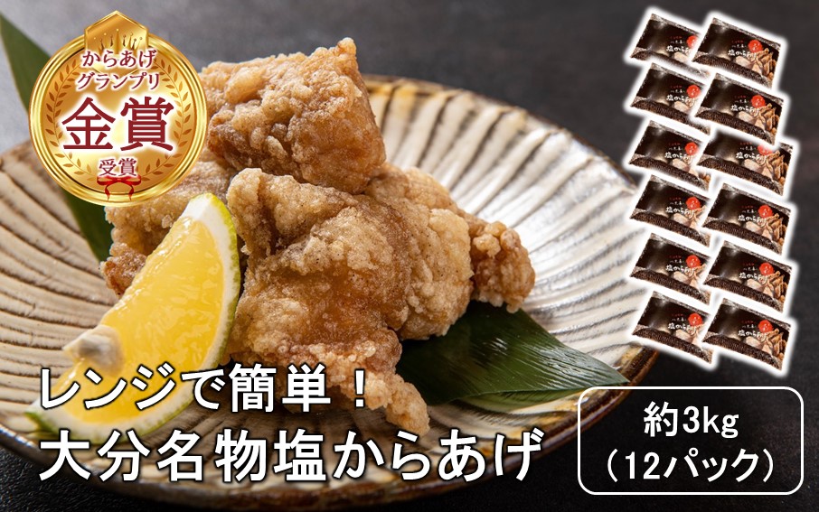 からあげグランプリ金賞受賞！選べる容量 塩からあげ3kg_2660R-3