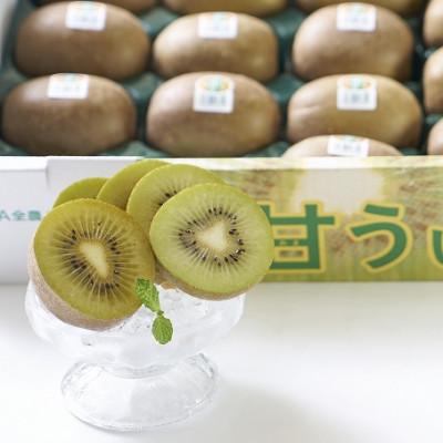 ふるさと納税 大任町 福岡産ブランドキウイ・甘うぃ24-33玉箱(約3kg)(大任町) |  | 02