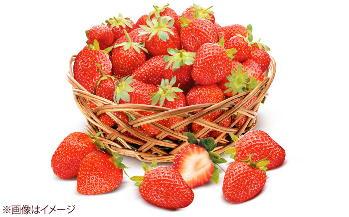 【化粧箱入】あまおう大福 8個 50g×8個(計400g) 吉富町/株式会社博多漁師の里 [BGAE047] 福岡県 和菓子 スイーツ おやつ フルーツ大福 くだもの 果物 大福 イチゴ大福 いちご 