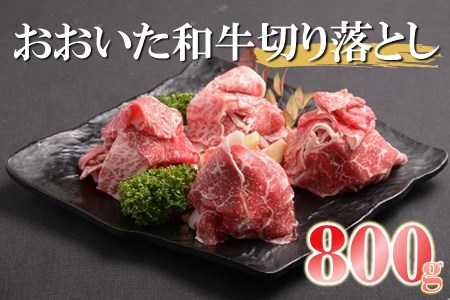 おおいた和牛切り落とし800g 牛肉 和牛 切り落とし すき焼き 小分け ステーキ 焼肉 焼き肉 大分県産 中津市 