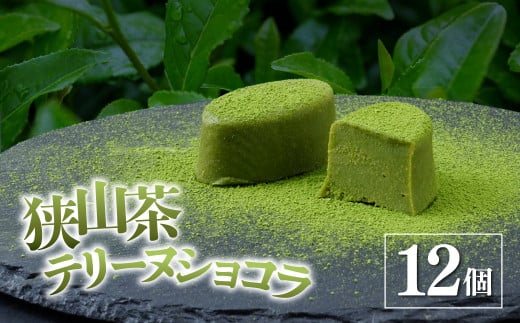 狭山茶テリーヌショコラ 12個入り エミール | 洋菓子 お菓子 ギフト 贈答 贈り物 プレゼント 個包装 小分け スイーツ おやつ 抹茶 狭山茶 ショコラ チョコ チョコレート おすすめ emile 埼玉県 所沢市