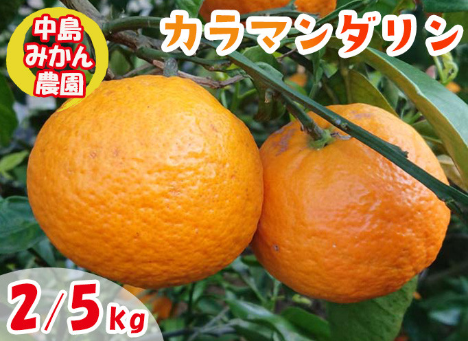 
            【2025年5月から発送】春 みかん カラマンダリン 家庭用 2kg または 5kg｜みかん 蜜柑 旬 わけあり 訳あり 甘い 柑橘 果物 フルーツ 糖度 愛媛 松山
          