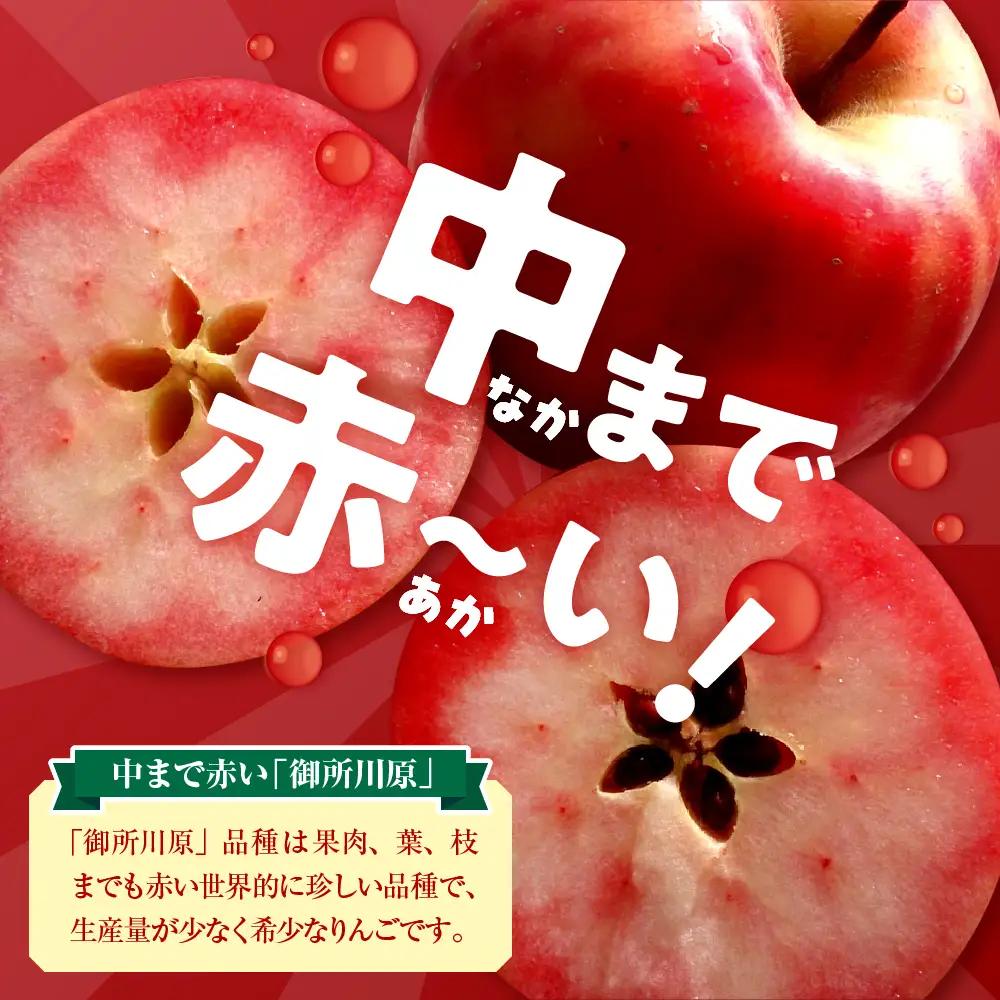 中まで赤～いりんごづくしセット（学生コラボ）【 りんごジャム100g×1、万能タレ200ml×1、りんごジュース（パウチ）130ml×3、こぎん刺しマグネット ×1【青森 五所川原 りんご 詰合せ 御
