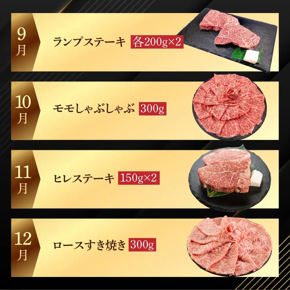 【定期便 12回】飛騨牛まるごと1年味わい尽くし定期便（2～3人前）【70-C】
