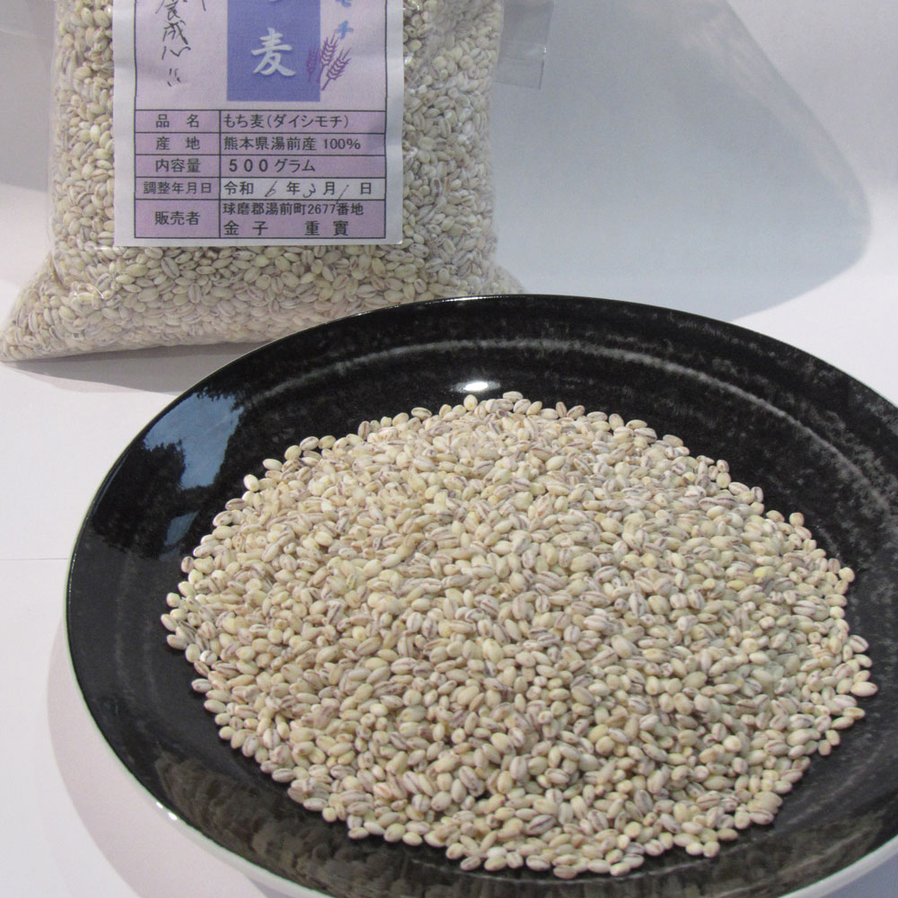 【ふるさと納税】有機JAS規格認証 金子さんの｢もち麦｣ 500g×2～4袋 計1～2kg 1キロ 2キロ 麦 雑穀 九州 国産 熊本県 湯前町 送料無料
