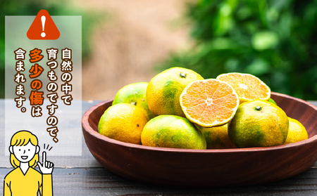 蜜柑 愛媛 極早生 みかん 日南1号 5kg S~L サイズ 混合 先行予約 コルレオファーム 極早生みかん mikan さっぱり 爽やか 甘味 酸味 果物 フルーツ 柑橘 農家直送 産地直送 数量限