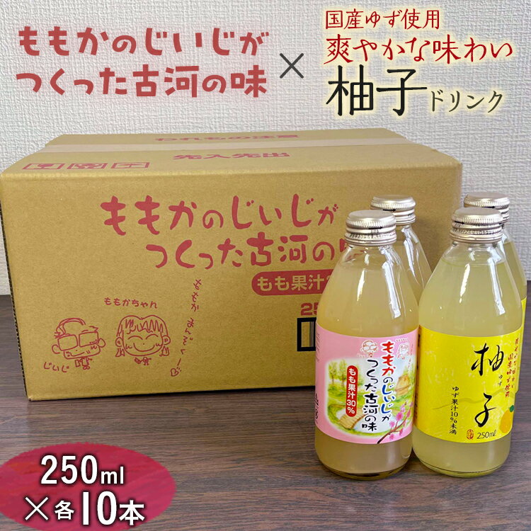 【ふるさと納税】【飲み比べ】ももかのじいじがつくった古河の味×国産ゆず使用爽やかな味わい柚子ドリンク 250ml×各10本入 | ドリンク 飲み比べ 桃 柚子 もも モモ ゆず ユズ ジュース 飲料 手土産 ギフト 厳選 贈答 贈り物 お中元 夏ギフト プレゼント_EG03