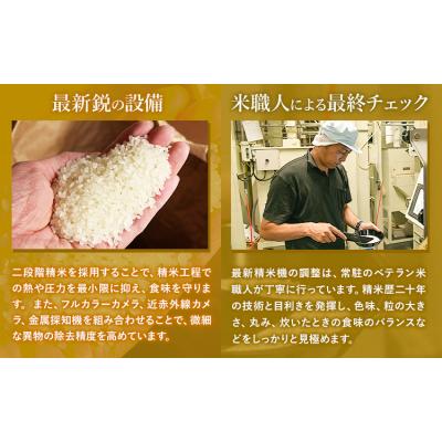 ふるさと納税 南阿蘇村 【12ヶ月定期便】こしひかり 無洗米 10kg 《お申し込みの翌月から出荷》 |  | 01
