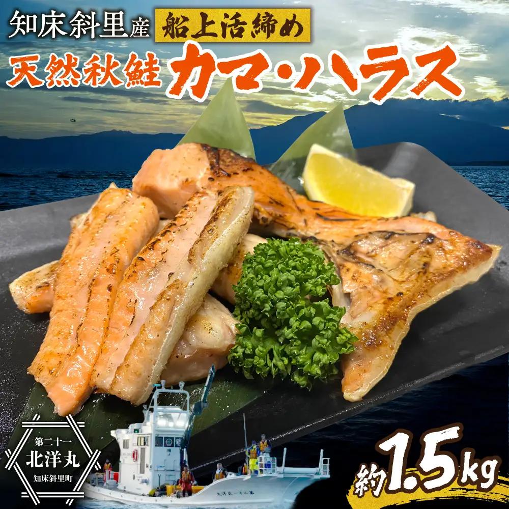 【先行受付】〈数量限定〉 知床斜里産 天然秋鮭カマ＆ハラス 1.5kg  鮭