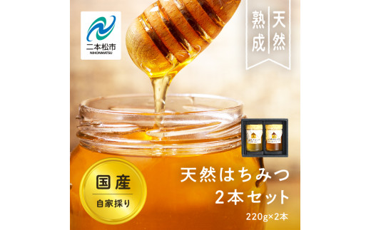 自家採り国産天然はちみつ 2本セット(220g×2)【渡辺養蜂場】