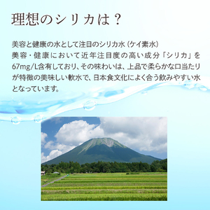 理想のシリカ 500ml × 48本 (1ケース24本入 × 2ケース)