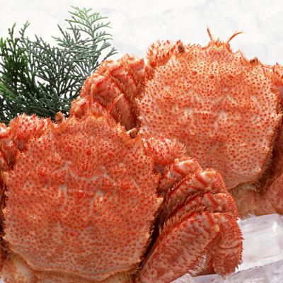 ふるさと納税 網走市 【網走産】毛がに660g前後×2杯 |  | 01