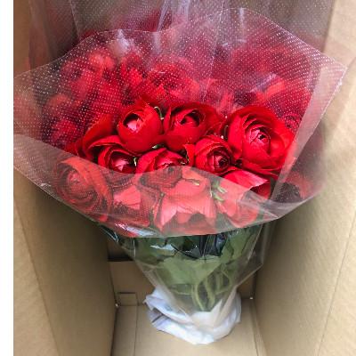 ふるさと納税 東かがわ市 ラナンキュラス「てまり(赤系色)」切花50本 |  | 01