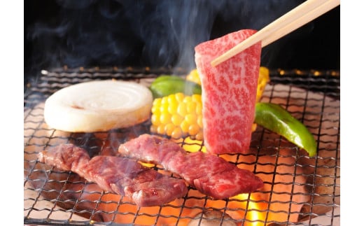 黒毛和牛稀少部位を含む 特上焼肉極み500g 有田牧畜産業ブランドEMO牛 牛肉 焼肉 国産牛肉＜1.8-23＞
