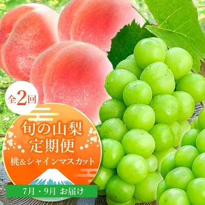 【発送月固定定期便】山梨の人気フルーツ!桃とシャインマスカットの定期便 全2回【配送不可地域：離島・沖縄県】