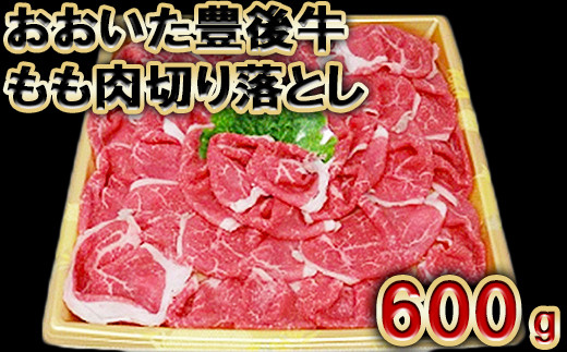 
おおいた豊後牛モモ肉切り落とし600g＜105-003_5＞
