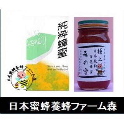 ふるさと納税 竹田市 【国産はちみつ】 日本純粋百花蜂蜜「森の蜜」 300g×1本 化粧箱入り
