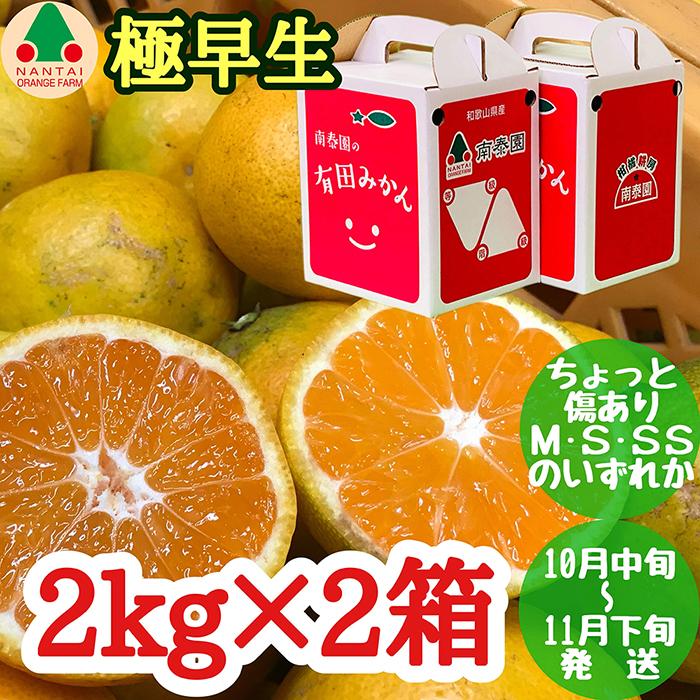 【ふるさと納税】ちょっと 傷あり 極早生 有田 みかん M～SS サイズ 2kg × 2箱 手さげ箱 南泰園 和歌山 有田みかん