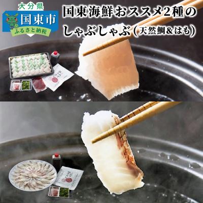 ふるさと納税 国東市 国東海鮮おススメ2種のしゃぶしゃぶ「天然鯛&amp;はも」_29011B