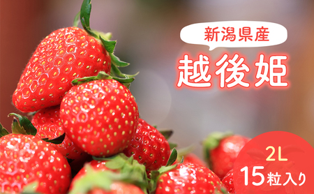 【予約受注】2026年2月下旬より発送　新潟県産越後姫2L　15粒入り 