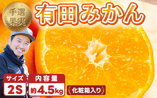 和歌山の有田みかん 化粧箱入り 4.5kg 2Sサイズ｜まごころ手選別 ミカン 蜜柑 温州みかん 柑橘 和歌山 ギフト 贈答 ※2025年11月上旬～2026年1月下旬頃に順次発送予定