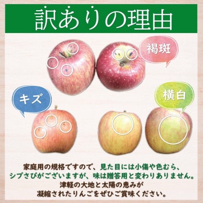 【青森市産】糖度12度以上!訳あり 家庭用りんご(早生ふじ) 約5kg【配送不可地域：離島・沖縄県】【1519942】