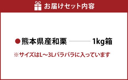 熊本県産 和栗 1kg 【2026年9月下旬発送開始】 クリ くり 栗 フルーツ くだもの 果物 国産