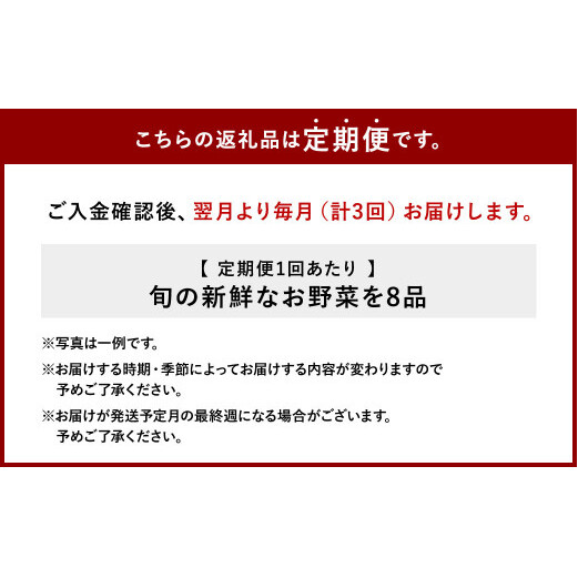 【3回定期便】特別栽培季節のお野菜セット 8品 野菜 新鮮 やさい 旬 詰合せ 国産 宮崎県 九州 送料無料_イメージ2