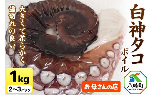 白神タコ ボイル 約1kg(2～3パック) 秋田県八峰町沖産