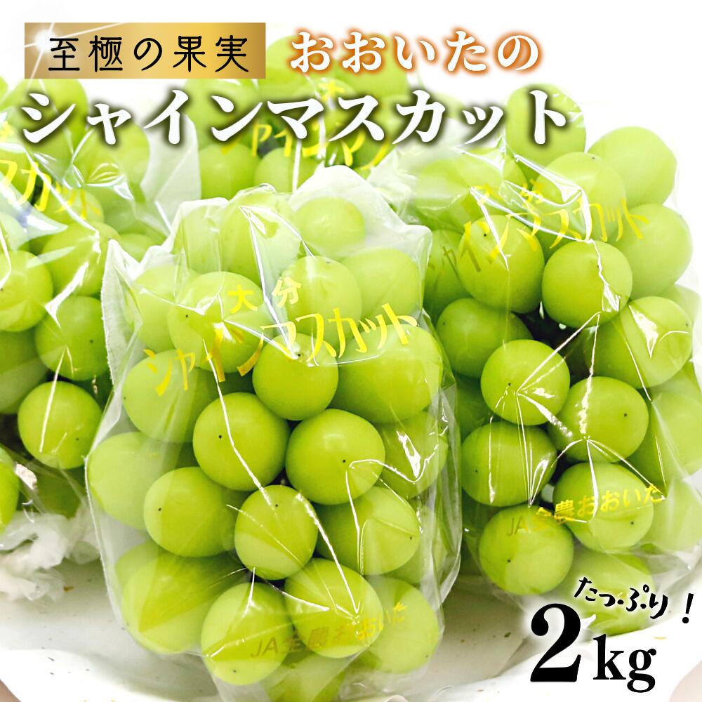 【ふるさと納税】《先行予約》至極の果実 シャインマスカット 2kg 大分県産 化粧箱入り （ 厳選 旬 高級 フルーツ マスカット 産地厳選 葡萄 贅沢 くだもの ぶどう 2キロ 国産 年内発送 お中元 贈答 ギフト 人気 甘い ブドウ 皮ごと食べる 産地 果物 お取り寄せ 送料無料 ）