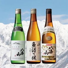 【2024年2月中旬発送】八海山お手軽オススメセット(720ml×3本)