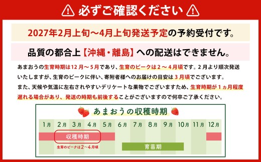 【数量限定】 福岡県産 あまおう 計500g 250g×2パック 【2027年2月上旬～4月上旬発送予定】 苺 イチゴ いちご 果物 フルーツ 果実 国産 アフター保証 アフター対応 福岡県 遠賀町 