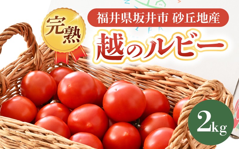
                  【先行予約】 完熟越のルビー 2kg 福井県坂井市砂丘地産 農家直送 【2026年10月上旬以降順次発送予定】 とまと トマト ミディトマト 華小町 野菜 生野菜 美容 健康 新鮮 産地直送 国産 [A-22102]
                