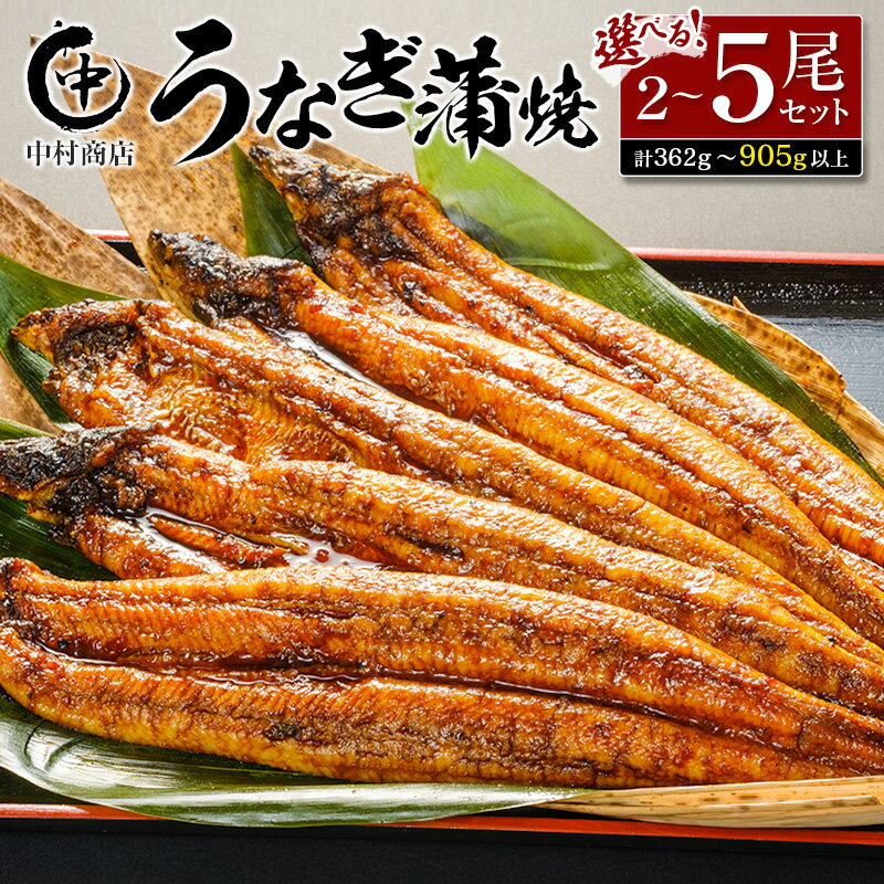 【ふるさと納税】中村商店 うなぎ蒲焼セット 2尾～5尾（計362g以上～905g以上）特製たれ付