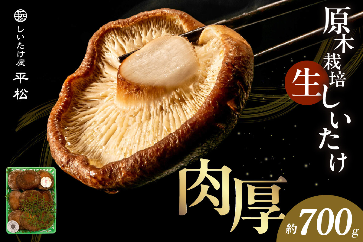 
            【季節限定】愛知県知多市産原木生椎茸
          